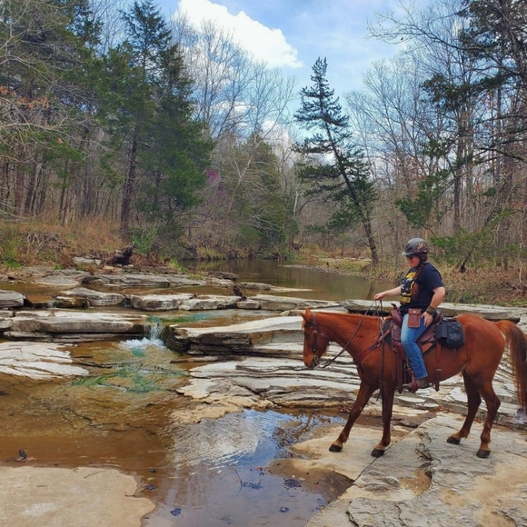 Open to offers! - Picture 1 of 1